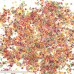 2000 Pcs Fruit Fimo Slices for Slime,DIY Crafts,polymer clay canes Nail Art Decorations Slices by HONGTIAN B075K6YZMX